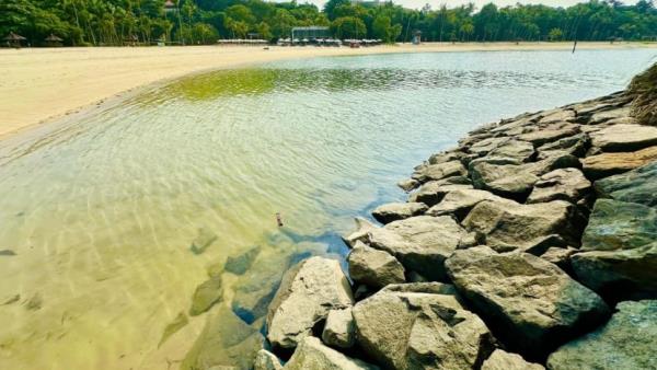 Oil spill clean-up completed ahead of schedule, more than 2 months after incident affected Sentosa, other beaches