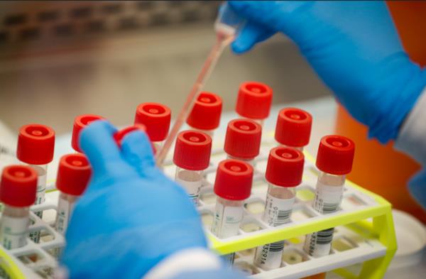 FILE - In this Wednesday, March 11, 2020 file photo, a technician prepares COVID-19 coronavirus patient samples for testing at a laboratory in New York's Long Island. Confidence in the scientific community declined among U.S. adults in 2022, a major survey shows, driven by a a partisan divide that emerged during the COVID-19 pandemic.   (AP Photo/John Minchillo, File)