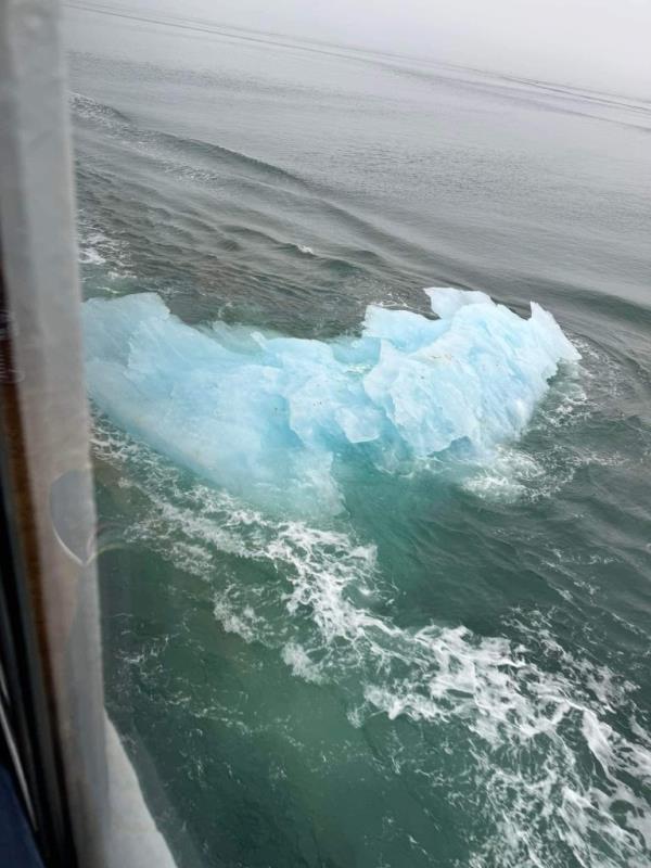 Passengers on a Carnival cruise looking at an iceberg in Alaskan waters