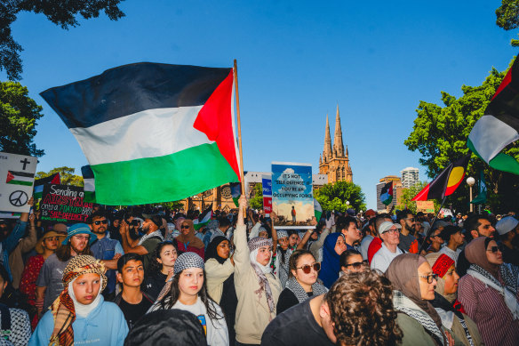 Protesters gather for a pro-Palestine rally at Hyde Park on Sunday.